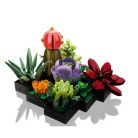 LEGO Botanicals 10309 Pozsgások