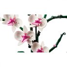 LEGO Botanicals 10311 Orchidea