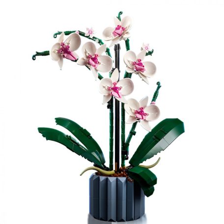 LEGO Botanicals 10311 Orchidea