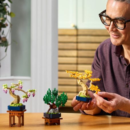 LEGO Botanicals 10373 Mini bonsai fák