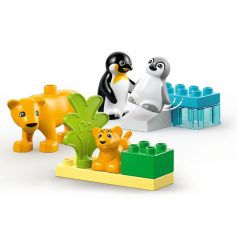   LEGO DUPLO Town 10442 Állatcsaládok a vadvilágban: Pingvinek és oroszlánok