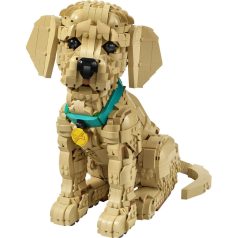 LEGO Icons 11384 Golden retriever kutyus