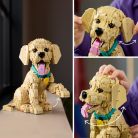 LEGO Icons 11384 Golden retriever kutyus