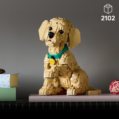 LEGO Icons 11384 Golden retriever kutyus