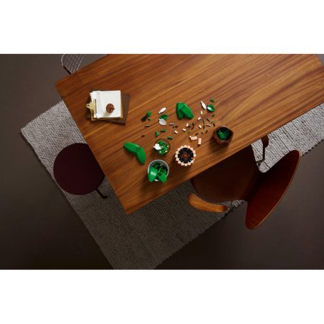 LEGO Botanicals 11504 Vitorlavirág