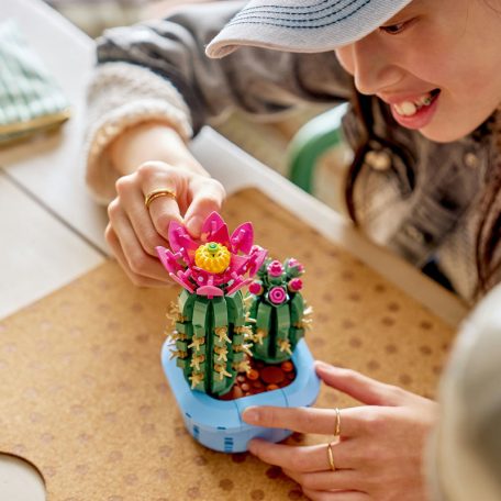 LEGO Botanicals 11509 Virágzó kaktusz