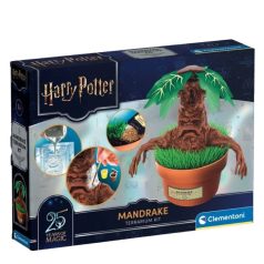 Harry Potter Mandragóra terrárium