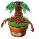 Harry Potter Mandragóra terrárium
