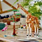 LEGO Creator 31150 Afrikai vadállatok