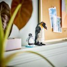 LEGO Creator 3in1 31165 Vadállatok: Pandacsalád