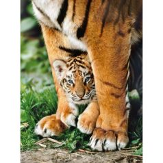   Clementoni 35046 High Quality Collection Puzzle - Bengáli tigris kölyök (500 db)