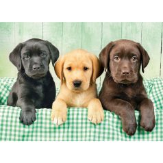 Clementoni Puzzle - Labrador kiskutyák (1000 db-os)