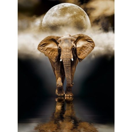 Clementoni 39416 High Quality Collection puzzle - Elefánt (1000 db)