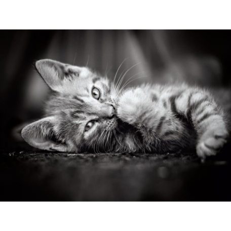 Clementoni 39422 High Quality Collection puzzle - Cica (1000 db)