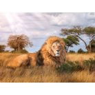 Clementoni 39479 High Quality Collection puzzle - A király (1000 db)