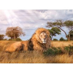   Clementoni 39479 High Quality Collection puzzle - A király (1000 db)