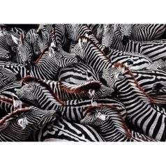   Clementoni 39729 National Geographic Collection Compact puzzle - Zebrák (1000 db)