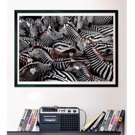 Clementoni 39729 National Geographic Collection Compact puzzle - Zebrák (1000 db)