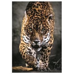   Clementoni 39947 High Quality Collection Compact puzzle - A jaguár sétája (1000 db)