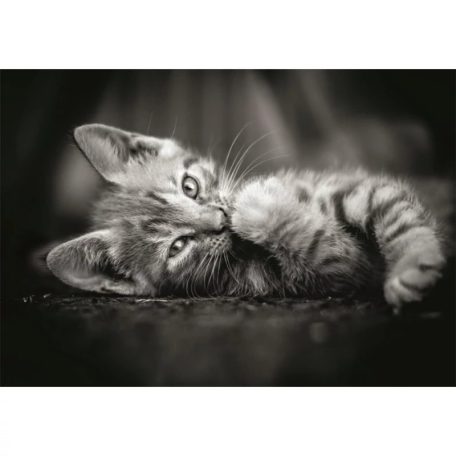 Clementoni 39950 High Quality Collection Compact puzzle - Kiscica (1000 db)