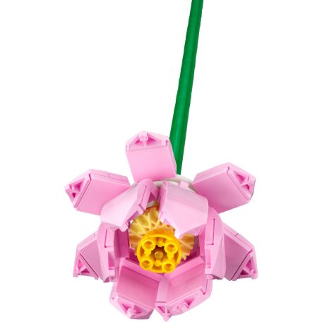 LEGO Botanicals 40647 Lótuszvirágok