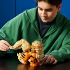LEGO Pokémon 72160 Arcanine