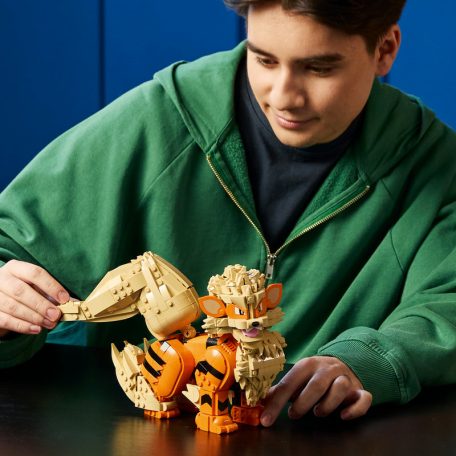 LEGO Pokémon 72160 Arcanine