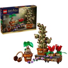   LEGO Harry Potter 76474 A Roxfort-i gyógynövénytanóra növényei