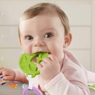 Fisher-Price Lajhár pocakpárna