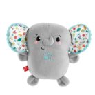 Fisher-Price Nyugis fánipajti