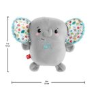 Fisher-Price Nyugis fánipajti