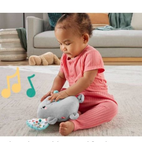 Fisher-Price Nyugis fánipajti