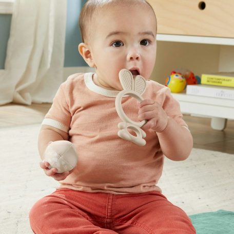 Fisher-Price Sensimals Helló érzékelés játékszett