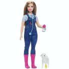 Barbie 65. évfordulós Karrier játékszett - Állatorvos baba