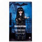 Monster High X Wednesday Wednesday baba
