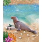 Playmobil Wiltopia 71288 Fóka