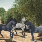 Schleich Horse Club 13922 Pura Raza Espanola kanca játékfigura