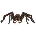 Schleich Harry Potter 13987 Aragóg