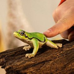 Schleich Wild Life 14882 Európai levelibéka