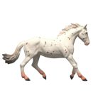 Schleich Horse Club 14917 Knabstrupper kanca