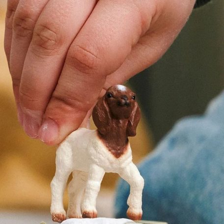 Schleich Farm World 14930 Búrkecske gida