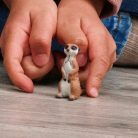 Schleich 14935 Szurikáta