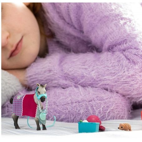 Schleich Horse Club 42534 Játék a csikóval