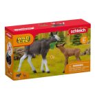 Schleich Wild Life 42629 Jávorszarvas borjúval