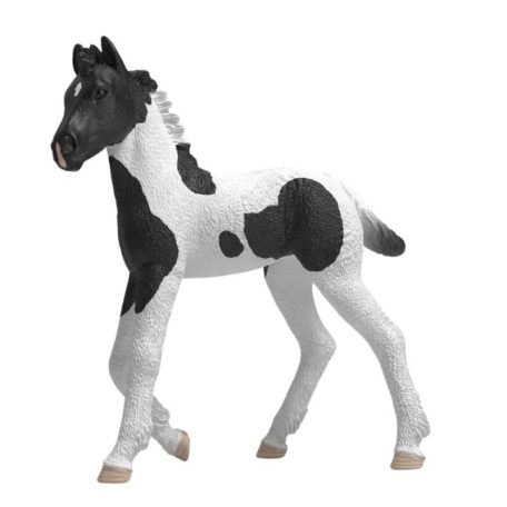 Schleich Horse Club 81481 Gyűjthető csikó - Rocky